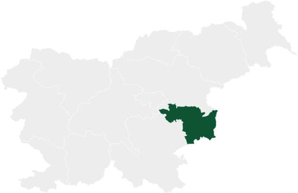 Нижнепосавский регион